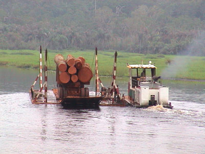 exploitation dans les forêts tropicales d'Afrique